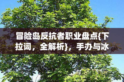 冒险岛反抗者职业盘点{下拉词，全解析}，手办与冰箱的奇妙碰撞