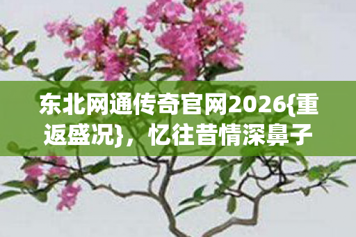 东北网通传奇官网2026{重返盛况},忆往昔情深鼻子酸 东北网通传奇官网2026{重返盛况},忆往昔情深鼻子酸