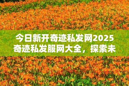 今日新开奇迹私发网2025奇迹私发服网大全图片