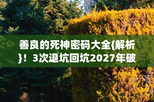 善良的死神密码大全{解析}！3次退坑回坑2027年破防