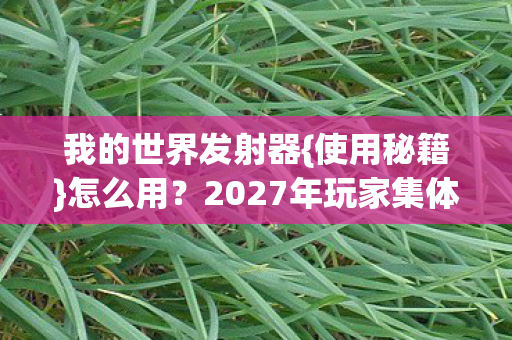 我的世界发射器{使用秘籍}怎么用?2027年玩家集体惊了 我的世界发射器{使用秘籍}怎么用?2027年玩家集体惊了