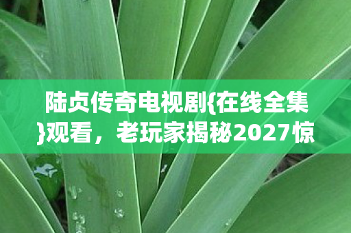 老玩家揭秘2027惊天反转图片