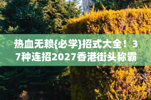 37种连招2027香港街头称霸图片