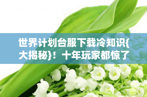 世界计划台服下载冷知识{大揭秘}!十年玩家都惊了 世界计划台服下载冷知识{大揭秘}!十年玩家都惊了