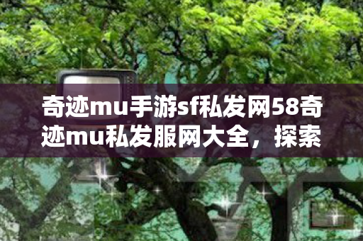 奇迹mu手游sf私发网58奇迹mu私发服网大全图片