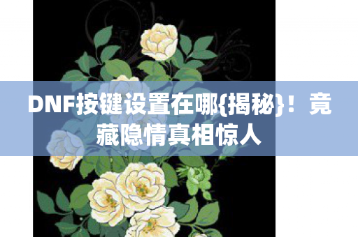 DNF按键设置在哪{揭秘}！竟藏隐情真相惊人