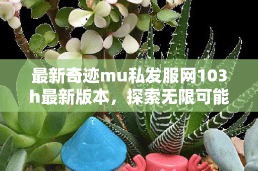 最新奇迹mu私发服网103h最新版本图片