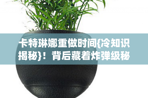 卡特琳娜重做时间{冷知识揭秘}!背后藏着炸弹级秘密 卡特琳娜重做时间{冷知识揭秘}!背后藏着炸弹级秘密