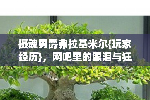 摄魂男爵弗拉基米尔{玩家经历},网吧里的眼泪与狂笑 摄魂男爵弗拉基米尔{玩家经历},网吧里的眼泪与狂笑