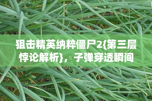 狙击精英纳粹僵尸2{第三层悖论解析}，子弹穿透瞬间的震撼
