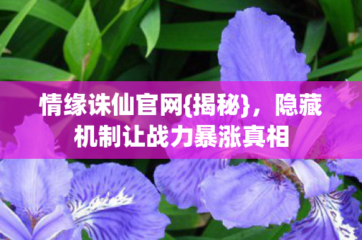 情缘诛仙官网{揭秘},隐藏机制让战力暴涨真相 情缘诛仙官网{揭秘},隐藏机制让战力暴涨真相