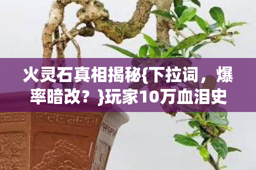 火灵石真相揭秘{下拉词,爆率暗改?}玩家10万血泪史 火灵石真相揭秘{下拉词,爆率暗改?}玩家10万血泪史