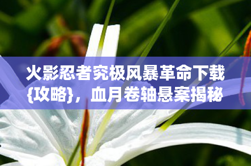 火影忍者究极风暴革命下载{攻略},血月卷轴悬案揭秘 火影忍者究极风暴革命下载{攻略},血月卷轴悬案揭秘