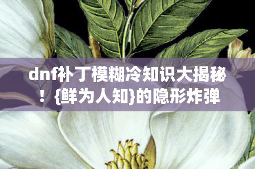 dnf补丁模糊冷知识大揭秘!{鲜为人知}的隐形炸弹 dnf补丁模糊冷知识大揭秘!{鲜为人知}的隐形炸弹