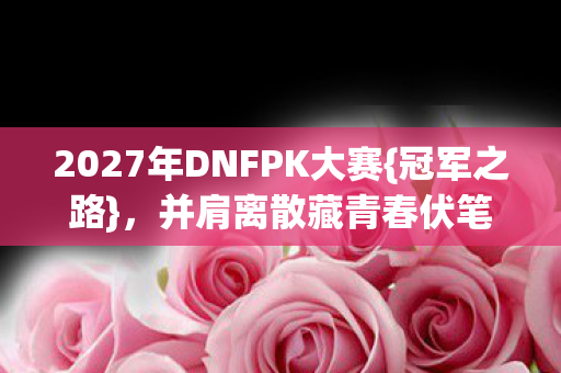 2027年DNFPK大赛{冠军之路}，并肩离散藏青春伏笔