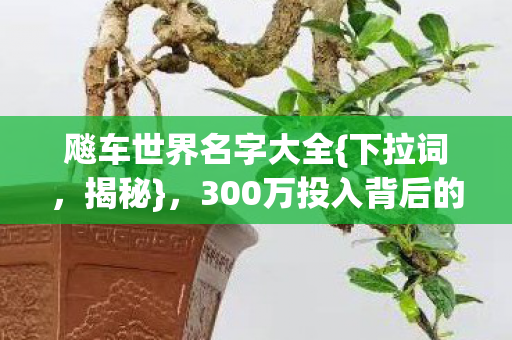 飚车世界名字大全{下拉词，揭秘}，300万投入背后的惊天隐情
