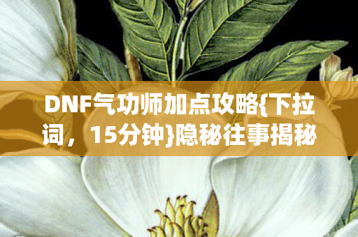 DNF气功师加点攻略{下拉词，15分钟}隐秘往事揭秘