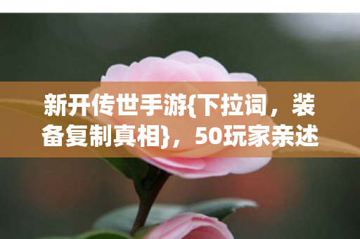 新开传世手游{下拉词，装备复制真相}，50玩家亲述趣事！