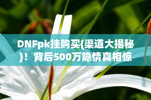 DNFpk挂购买{渠道大揭秘}!背后500万隐情真相惊人 DNFpk挂购买{渠道大揭秘}!背后500万隐情真相惊人