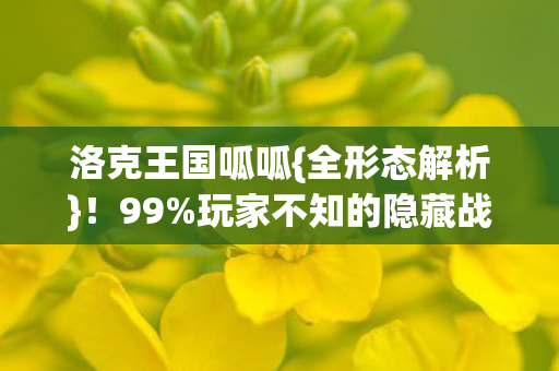 洛克王国呱呱{全形态解析}!99%玩家不知的隐藏战力机制 洛克王国呱呱{全形态解析}!99%玩家不知的隐藏战力机制