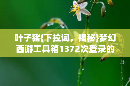 梦幻西游工具箱1372次登录的真相图片
