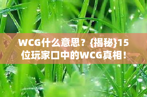 15位玩家口中的WCG真相图片