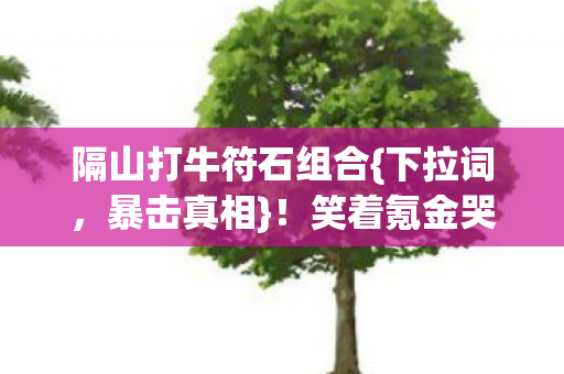 笑着氪金哭着看建模图片
