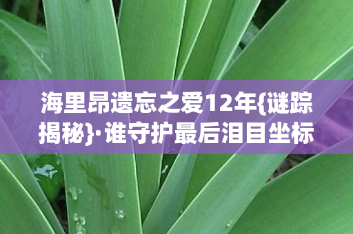 海里昂遗忘之爱12年{谜踪揭秘}·谁守护最后泪目坐标? 海里昂遗忘之爱12年{谜踪揭秘}·谁守护最后泪目坐标?