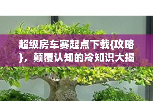 超级房车赛起点下载{攻略},颠覆认知的冷知识大揭秘 超级房车赛起点下载{攻略},颠覆认知的冷知识大揭秘