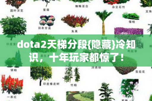 dota2天梯分段图片