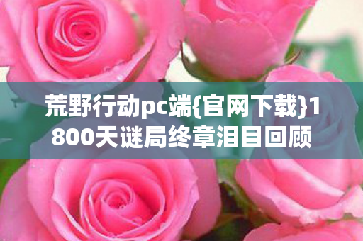 1800天谜局终章泪目回顾图片