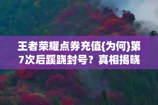 王者荣耀点券充值图片
