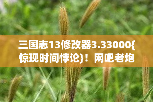 三国志13修改器3图片