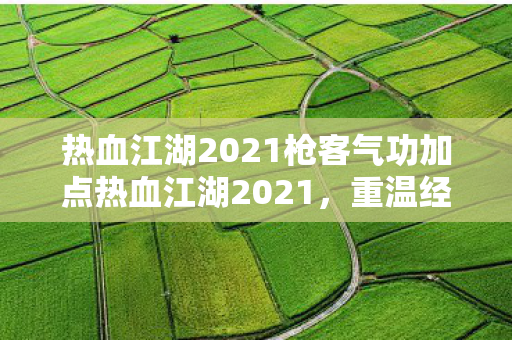 热血江湖2021枪客气功加点热血江湖2021，重温经典，探索新世界的武侠之旅，热血江湖2021，枪客气功加点全解析，重温经典武侠之旅