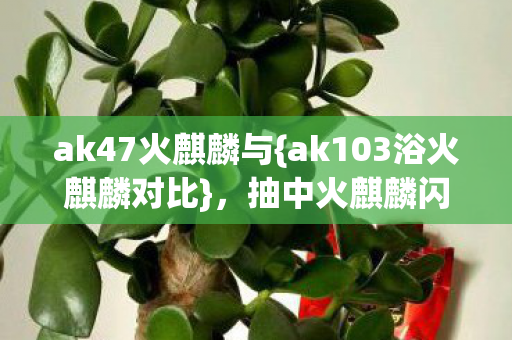 ak103浴火麒麟对比图片