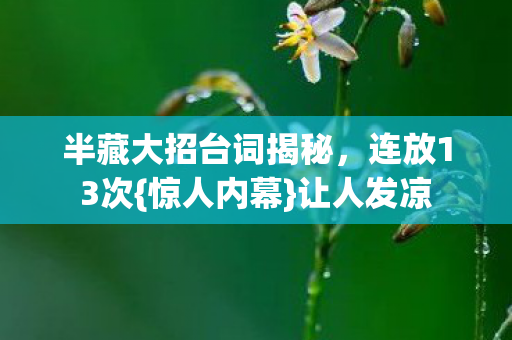 半藏大招台词揭秘图片