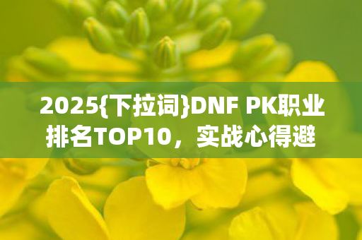 DNF PK职业排名TOP10图片