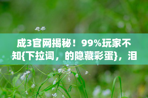 成3官网揭秘图片