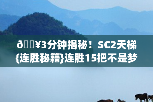 🔥3分钟揭秘！SC2天梯{连胜秘籍}连胜15把不是梦