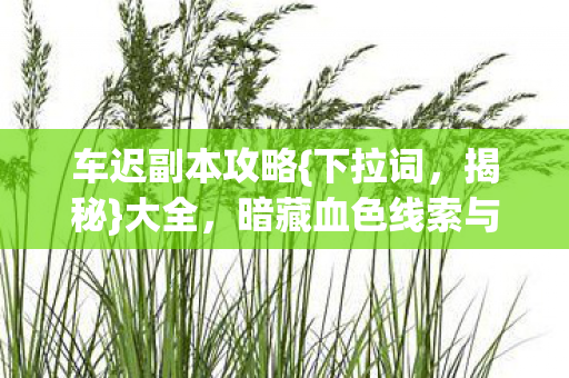 车迟副本攻略{下拉词，揭秘}大全，暗藏血色线索与悬案真相