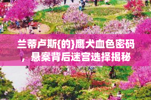 悬案背后迷宫选择揭秘图片