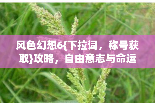 自由意志与命运枷锁的解析图片