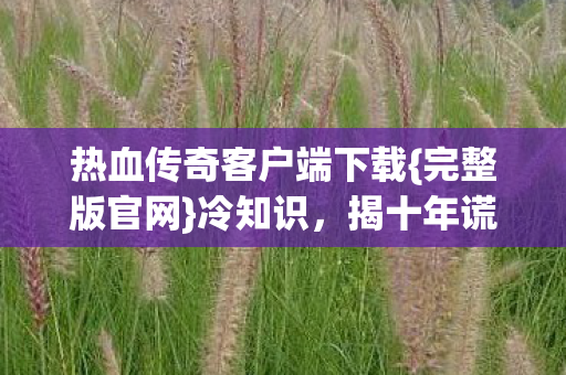 热血传奇客户端下载图片