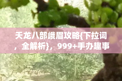 天龙八部峨眉攻略图片