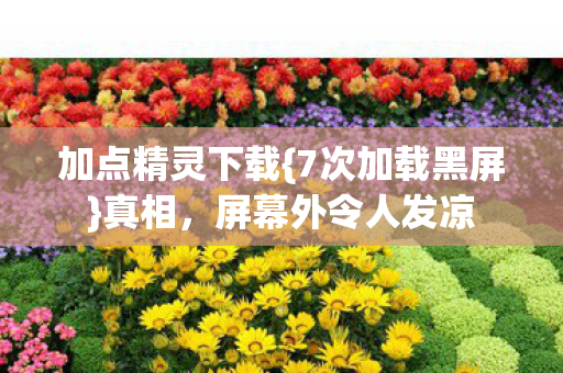 加点精灵下载{7次加载黑屏}真相,屏幕外令人发凉 加点精灵下载{7次加载黑屏}真相,屏幕外令人发凉
