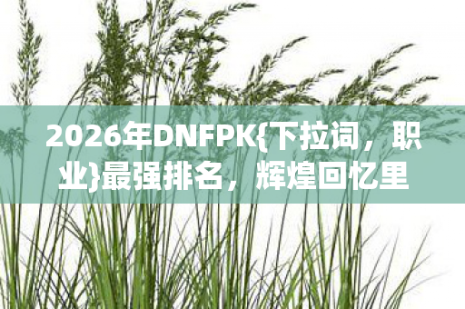 2026年DNFPK{下拉词,职业}最强排名,辉煌回忆里的强者 2026年DNFPK{下拉词,职业}最强排名,辉煌回忆里的强者