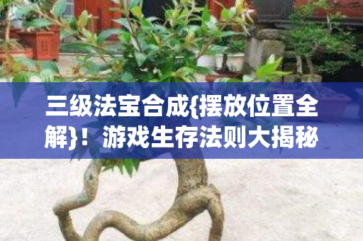 三级法宝合成{摆放位置全解}!游戏生存法则大揭秘 三级法宝合成{摆放位置全解}!游戏生存法则大揭秘