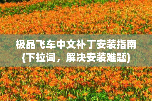 极品飞车中文补丁安装指南{下拉词,解决安装难题} 极品飞车中文补丁安装指南{下拉词,解决安装难题}