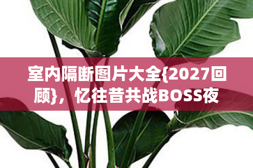 室内隔断图片大全{2027回顾},忆往昔共战BOSS夜 室内隔断图片大全{2027回顾},忆往昔共战BOSS夜