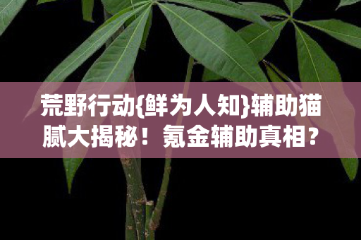 荒野行动{鲜为人知}辅助猫腻大揭秘！氪金辅助真相？